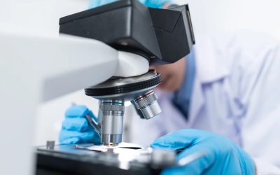 Understanding the Importance of Working Standard Qualification in Biopharmaceutical Manufacturing
