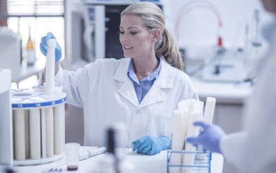 The Critical Role of Gap Assessment in Reference Standard Qualification Programs