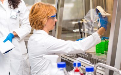 Implementation of Primary Reference Standard and Working Reference Standard Procedures in a Biopharmaceutical Company