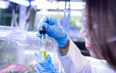 Preparing for FDA’s Next Wave of Digital Quality Expectations